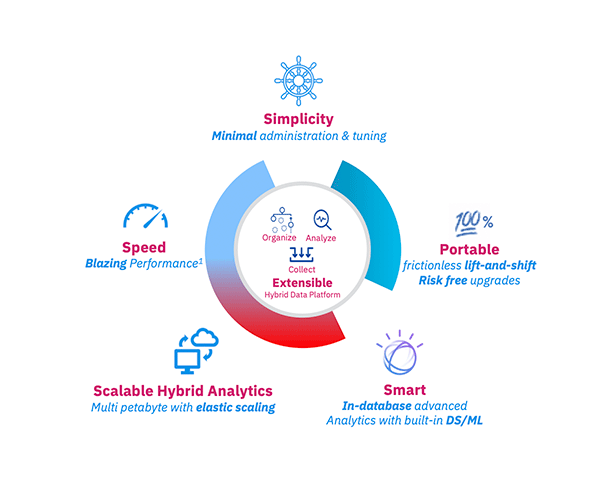 Netezza-Simplicity-Chart